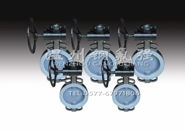 D371F4 Semi-lined butterfly valve